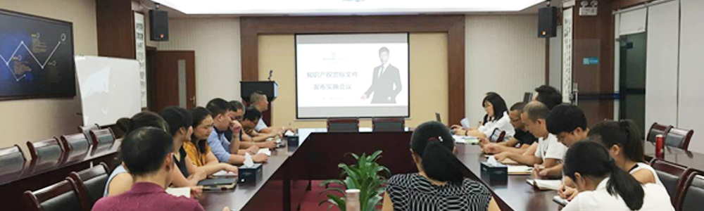 雷諾表召開知識產權貫標文件發布實施會議